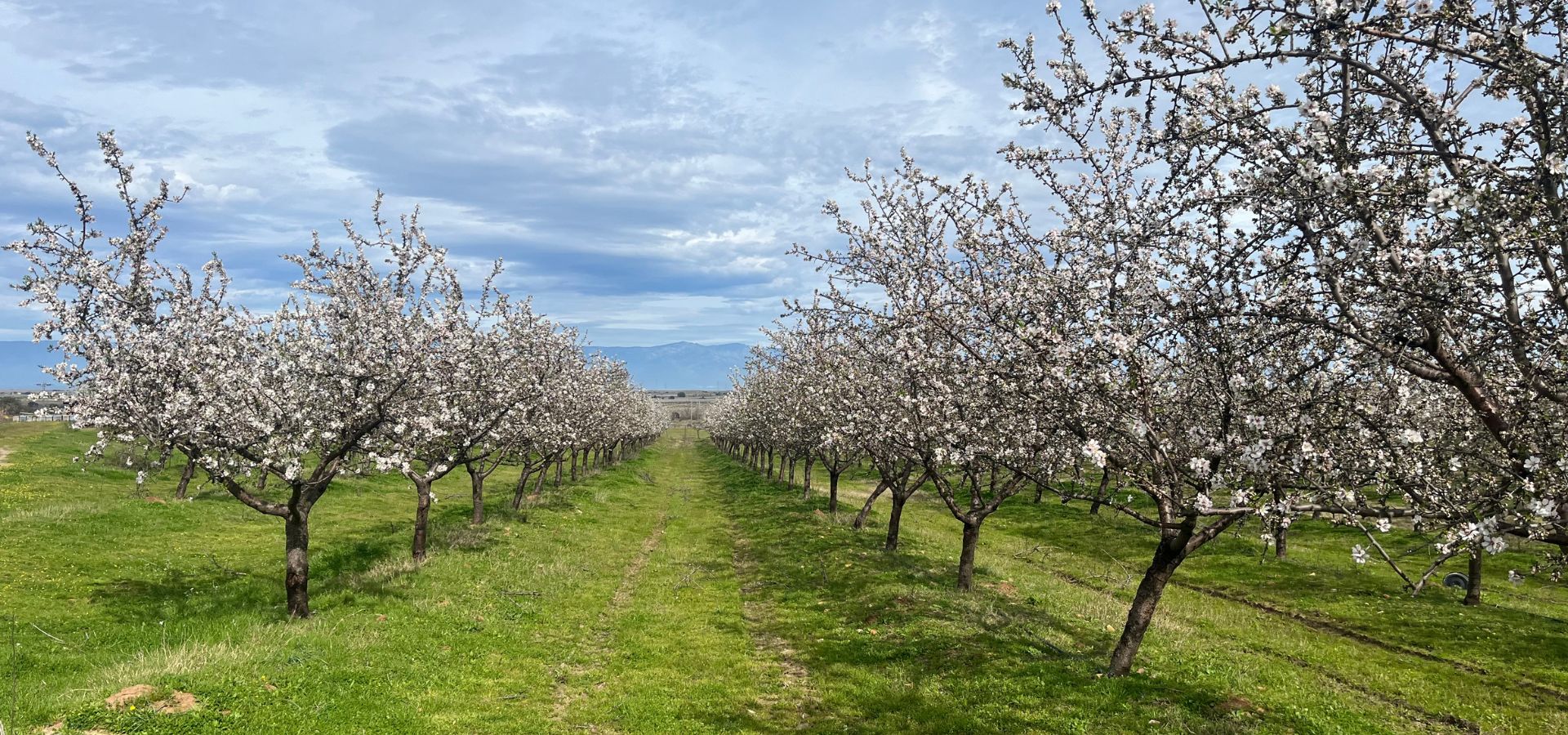 The Roadmap to Investing in Managed Farmland-farmlandturkey